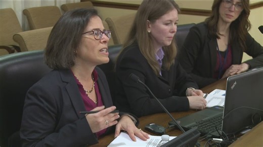 Legislative auditor on document fabrication: 'The most egregious thing I've seen'