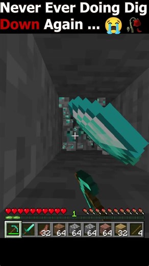 Minecraft Never Dig Down Again ... #babyshorts #shorts #minecraft