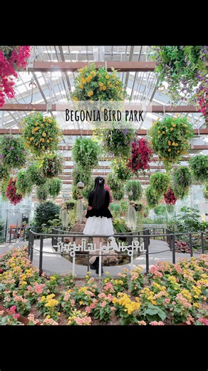 Explore Begonia Bird Park with Blythe Fern