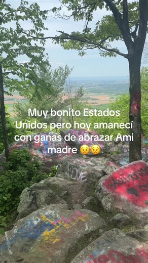 #LIVEIncentiveProgram #LIVEIsEasy #PaidPartnership | te extraño mamá