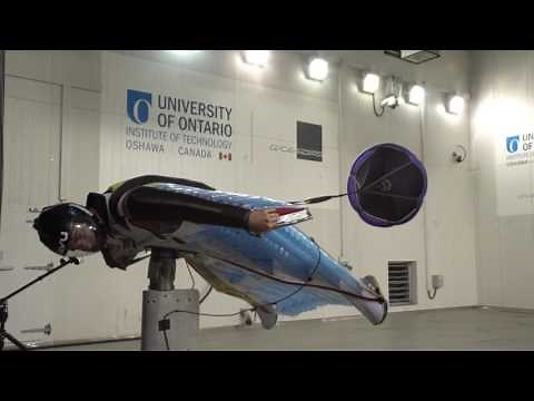 Wingsuit Wind Tunnel Flight