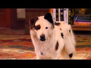 Dog With a Blog - Pod People from Pasadena | Official Disney Channel Africa