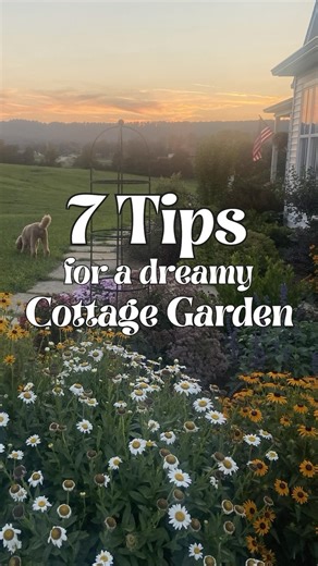 26K views · 1K reactions | Do you love hydrangeas as much as I do? 殺...