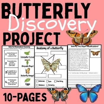 Butterfly Life Cycle & Identification Activities | Science, Reading, and Writing