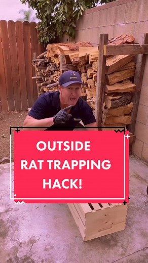 Outside rat trapping hack! #pestcontrol #rattrap #ratcatcher #twinhomeexperts #rats