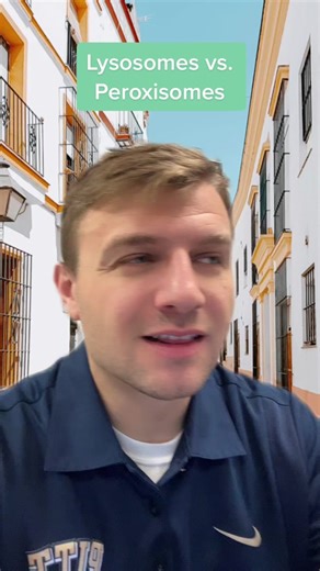 Lysosomes vs. Peroxisomes: Understanding the Key Differences