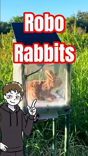 How Florida Catches Pythons