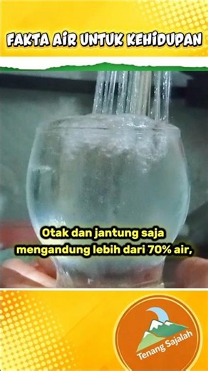 💧 Fakta Mengejutkan & Manfaat Air Bagi Tubuh Kita