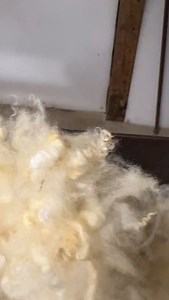 Guess what's on the carder today? I'm working with one of my favorite wools - a medium weight with a lovely luster. Perfect for knitting hats, mittens, sweaters, and more.#wool #sheep #woolmill #woolprocessing #woolroving #romneysheep | Mitten State Sheep and Wool
