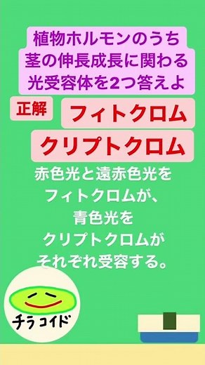 植物ホルモンのうち茎の伸長成長に関係している光受容体を2つ答えよ。 #shorts #大学受験 #受験