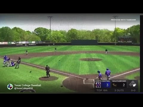 Texas Baseball tackle: What umpires say happened