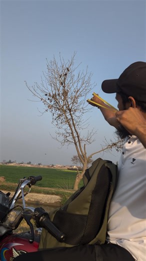 Amazing outdoor slingshot hunting short video #slingshot #hunting #tips #youtubeshorts