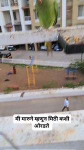 Neeta Kumbhar on Reels