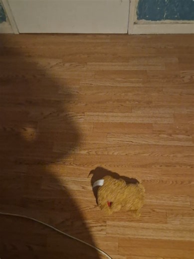 Stuffed Animal Fart Mishap