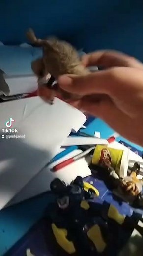 Homeward Bound II: Lost In San Francisco (1996)