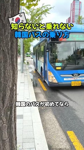 (✅ Save this!) How to ride the bus in Korea, a must-watch! 🇰🇷