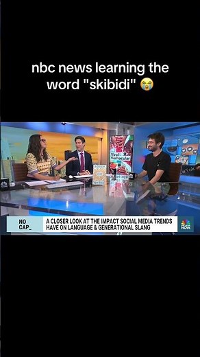 What the skibidi