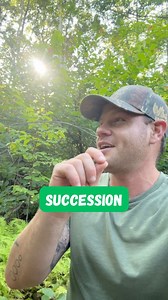 What is “succession?” #forest #forests #nature #ecology #ecosystem #woods #wildlife #tree #trees #change #life #forester #love | Ethan Tapper