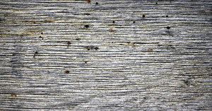 Vrillette du bois : comment éliminer cet insecte de la maison ?