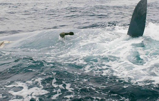What happened to Cheeki Rafiki? Key findings from the official Marine Accident Investigation Branch report - Yachting World