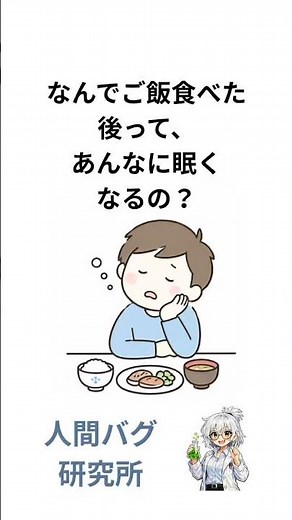 眠気の正体｜食後に眠くなる理由 #脳科学 #雑学 #脳セラピー #脳科学 #雑学 #脳セラピー #ゆっくり解説 #人間心理 #大学生