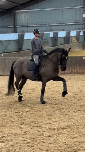 EMILIE BALLING NISSEN on Instagram: "Humle❤️ Som har haft alle odds i mod sig. Men modbeviser hver gang. Kan ikke sige nok hvor stolt jeg er af ham!!!!!!🥹🥹🥹"