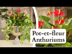 Pot-et-fleur Floral Design | Anthuriums and Foliage into a Vintage Ice-bucket