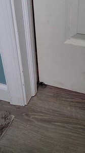 3.4K views · 34 reactions | Jackie's Randomness on Reels | Facebook