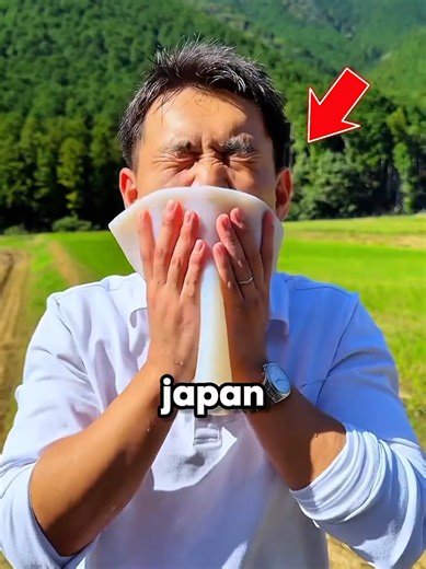 Unique Aspects of Japan You Won't Find Elsewhere