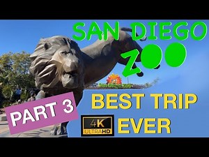 San Diego Zoo Ultimate Experience 4K-Part 3 Elephant Odyssey