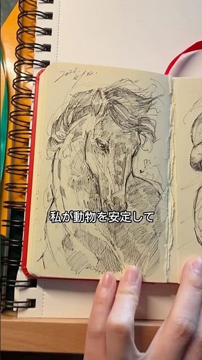 動物を描けるようになった描き方✏️✨️ #イラスト #イラスト練習 #お絵描き #drawing #fyp