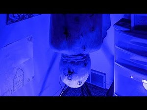 Cocooned Corpse Demo | Spirit Halloween