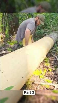 Building a Cozy Log Cabin with a Giant Clay Fireplace #buildingahouse #surviva #build #building