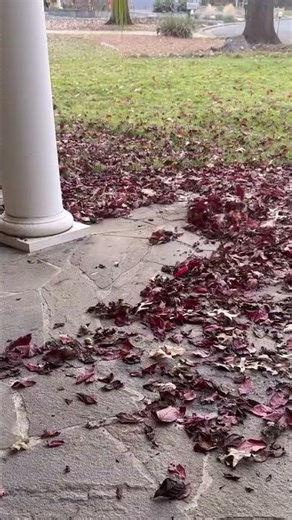 So powerful, so easy and lightweight you won’t ever want to use a broom again