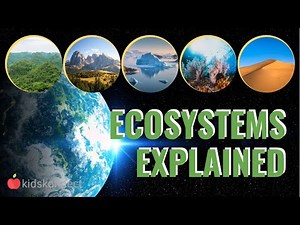 Ecosystems | What are they, what animals live there?