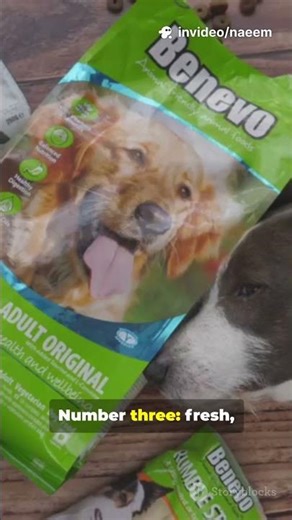 Top 5 Best Dog Foods Vets Love (in 45s!)