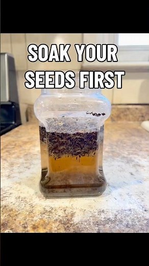 Soak Seeds Before Planting? Do This First #SeedStarting, #GardeningTips, #SoakSeeds, #short