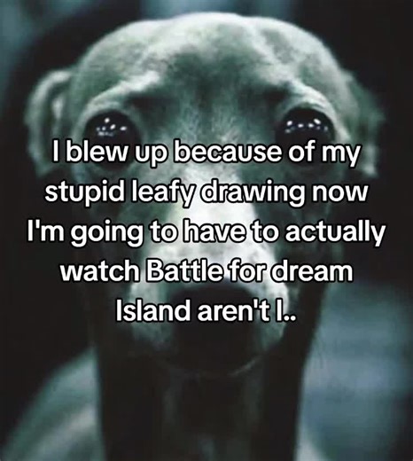 #bfdi #leafy #xyzbca