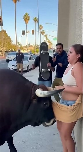 bull corners woman, tears off her clothes and runs away