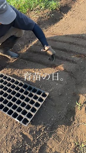 masa_shimo on Instagram: "⁡ ⁡ 育苗の日。 ⁡ ⁡ 玉ねぎ苗の苗床作り。 ⁡ 長ねぎ、玉ねぎの育苗は難しいので 苗床だと草管理しっかりやれば セルトレイより楽かもしれない。 ⁡ 今年は極早生はセルトレイと直播。 中晩成はセルトレイのみ。 ⁡ 今回は直播のみの動画。 腐葉土とイネニカで覆土してみる。 ⁡ ⁡ さて、11月頭の植え付けになるかどうか。 ⁡ #玉ねぎ #育苗 #畑のある暮らし ----------------------------- ⁡ ✯多趣味の作業記録。 ✯約150坪の区画。 ✯埼玉県南部地域。 ⁡ ⁡ 他の投稿はこちら。 →@kiich_farm"