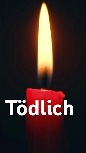Die giftigsten Tiere der Welt
