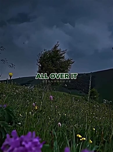 How To Track Jaguars in the Amazon | jaguars