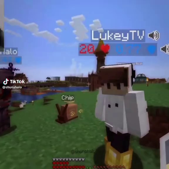 they are actually so silly #Therealm #therealmsmp #dtowncat #pili #LukeyTv #Minecraft #mcyt #minecraftyoutuber #foryou #fyp #viral (@) @peyton @marsh 𖦹 ׂ 𓈒 🧪🗡️ @♯ㅤpearl . @nana 🍬 @RJ .ᐟ @ghostlymenace