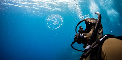 Learn to Scuba Dive with PADI