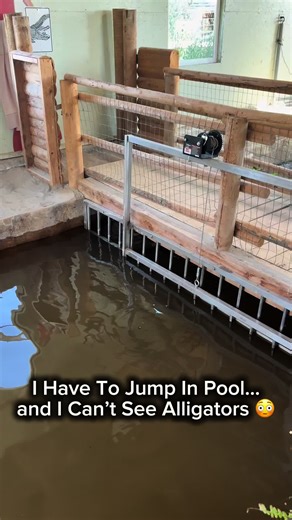 I Have To Jump In Pool…and I Can’t See Alligators 😳 | pool