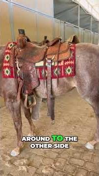 Saddle Up! Pro Horse Rider's Saddle Removal Hacks #shorts