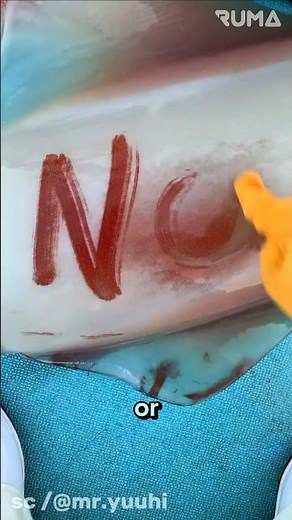 "Inside the Squid's Skin: The Magic of Chromatophores" 😯