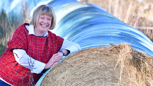 New online platform cutting fodder costs for farmers