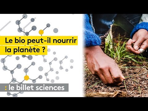 L'agriculture bio peut-elle nourrir la planète ?