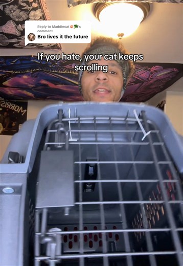 Replying to @Maddiecat💥🥦 cat carrier backpack #tiktokshopcreatorpicks #cats